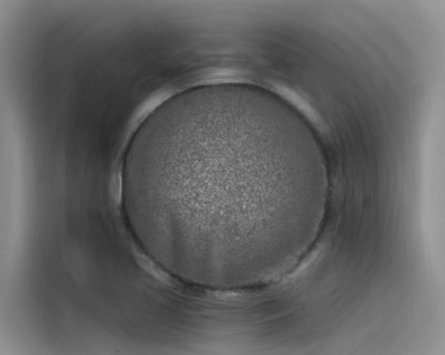 X0000115231413200911061118