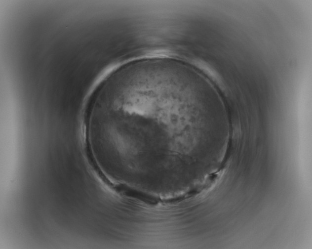 X0000115231414200911061118