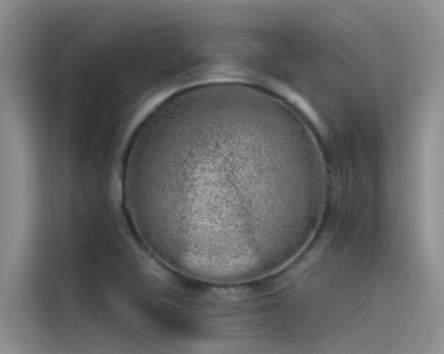 X0000115231415200911061118