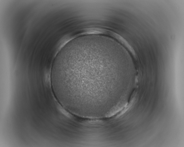 X0000115231417200911061118
