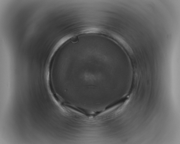 X0000115231418200911061118