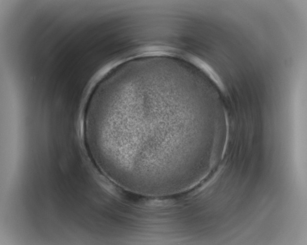 X0000115231419200911061118