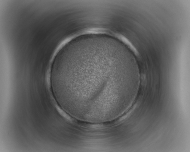 X0000115231421200911061118