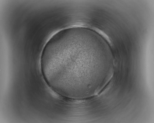 X0000115231423200911061118