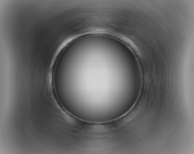 X0000115231424200911061118