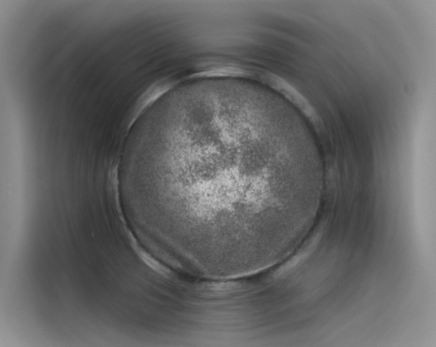 X0000115231425200911061118
