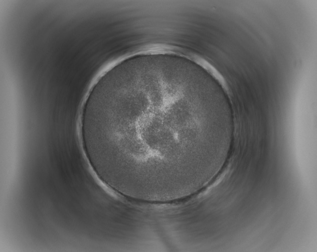 X0000115231429200911061118