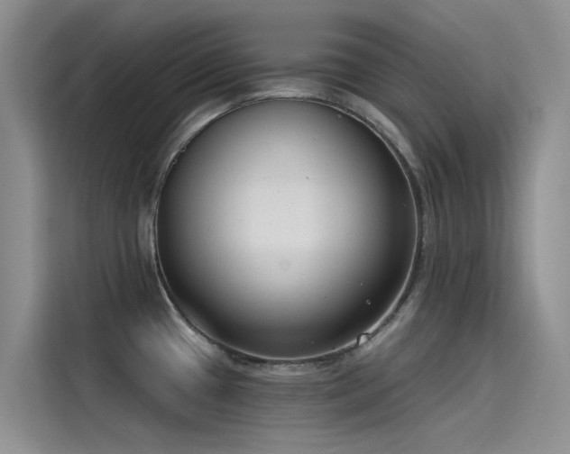 X0000115231433200911061118