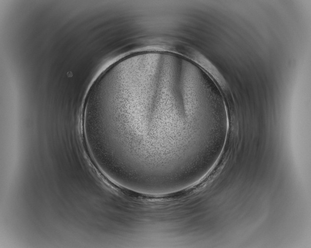 X0000115231436200911061118