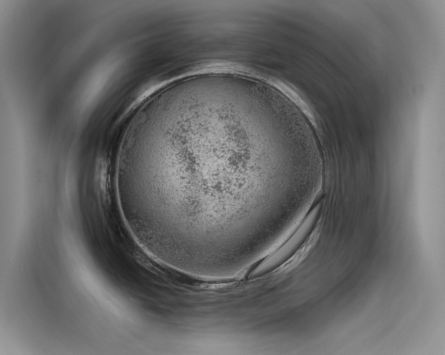 X0000115231438200911061118