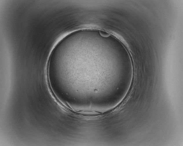 X0000115231440200911061118