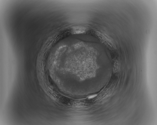 X0000115231441200911061118