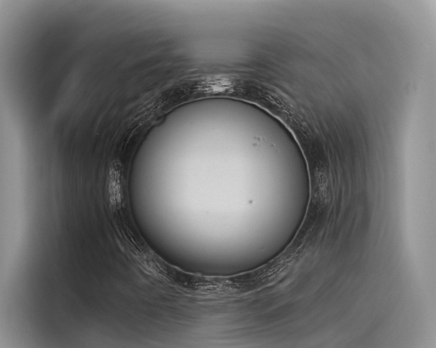 X0000115231442200911061118