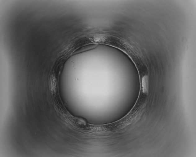 X0000115231443200911061118