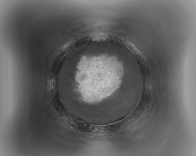 X0000115231445200911061118