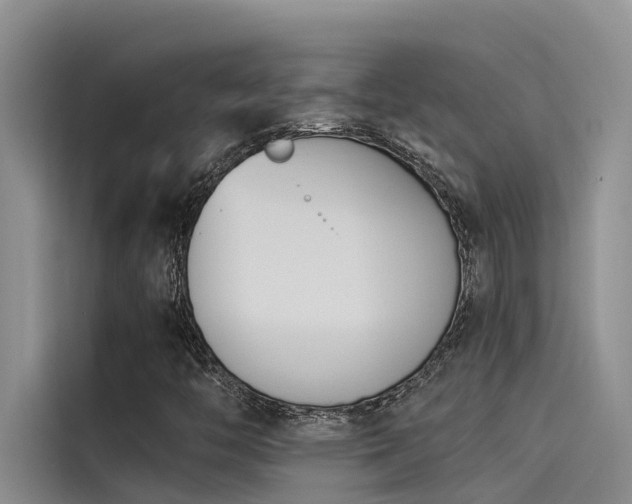 X0000115231446200911061118