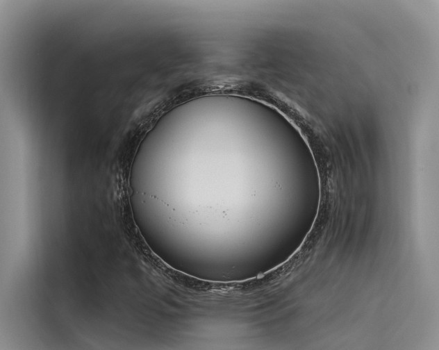 X0000115231447200911061118
