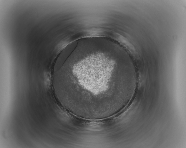 X0000115231449200911061118