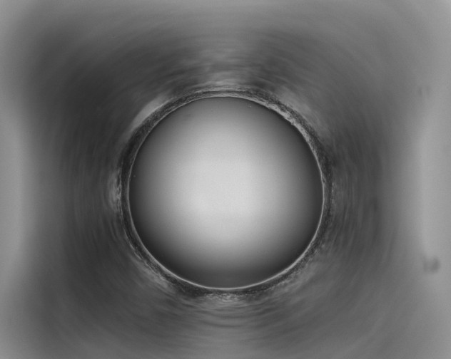 X0000115231450200911061118
