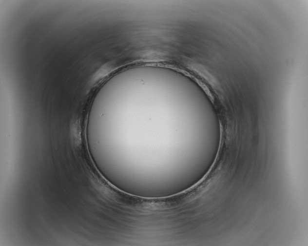 X0000115231451200911061118