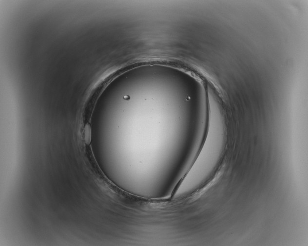 X0000115231453200911061118