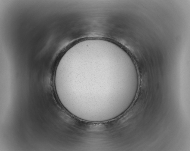 X0000115231454200911061118
