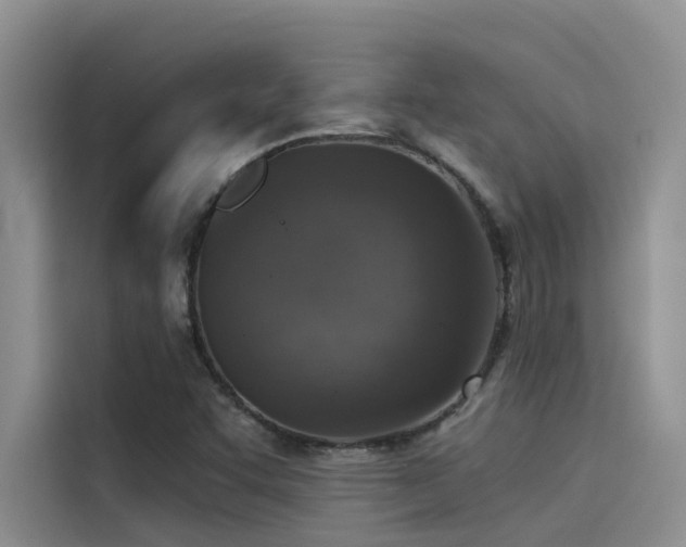 X0000115231455200911061118