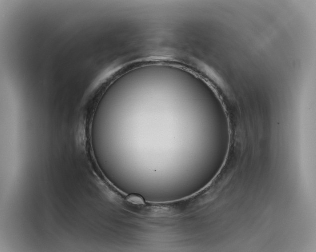 X0000115231456200911061118