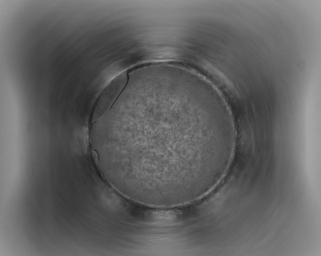 X0000115231457200911061118