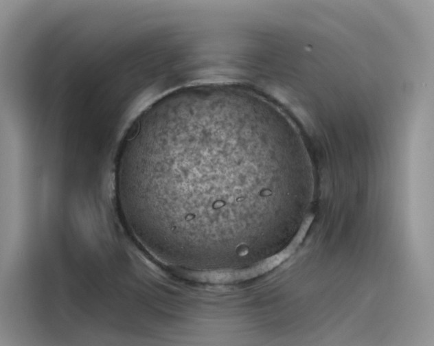 X0000115231459200911061118
