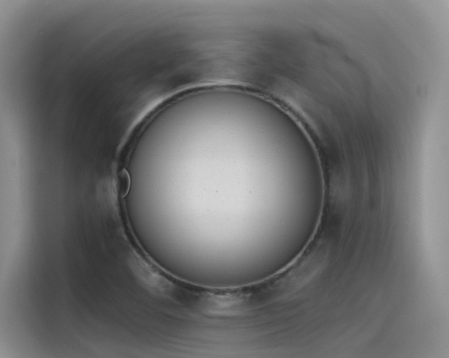 X0000115231460200911061118