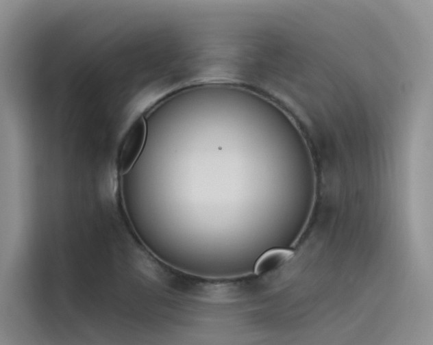 X0000115231461200911061118