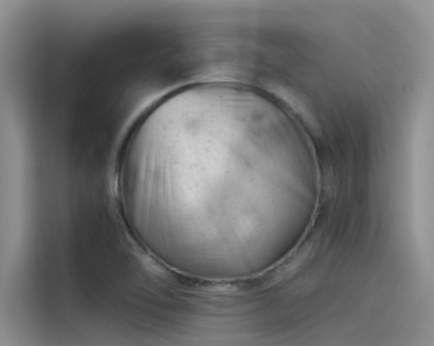 X0000115231462200911061117