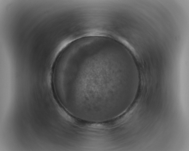 X0000115231463200911061117