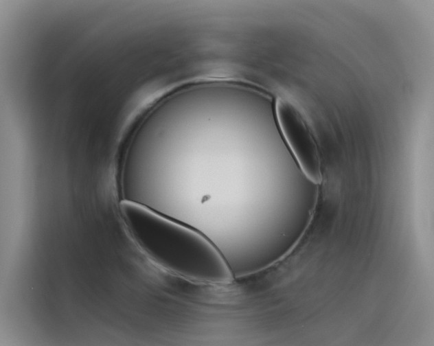 X0000115231464200911061117