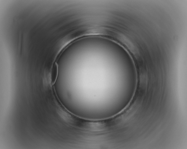 X0000115231465200911061117