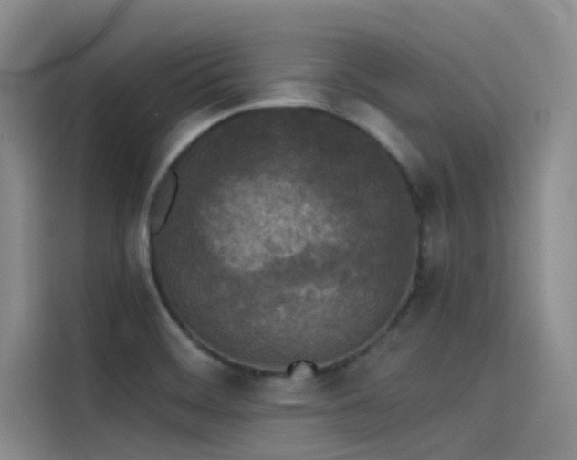 X0000115231468200911061117