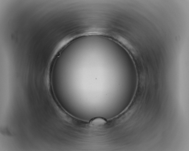 X0000115231469200911061117