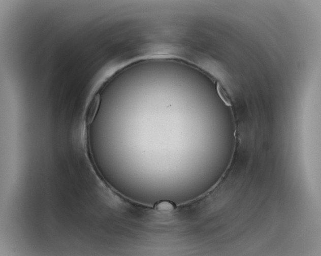 X0000115231472200911061117