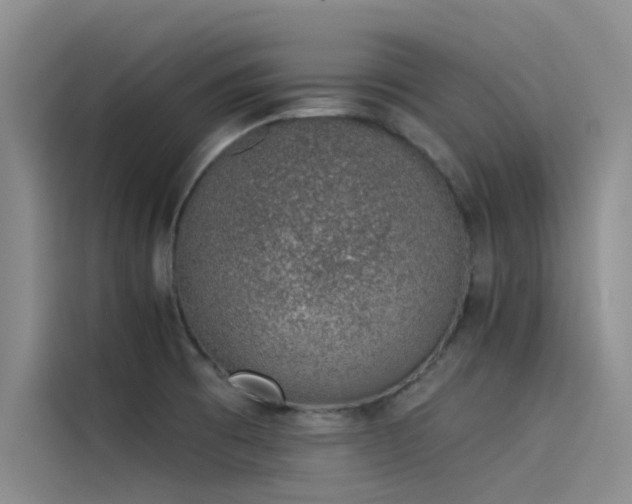 X0000115231473200911061117