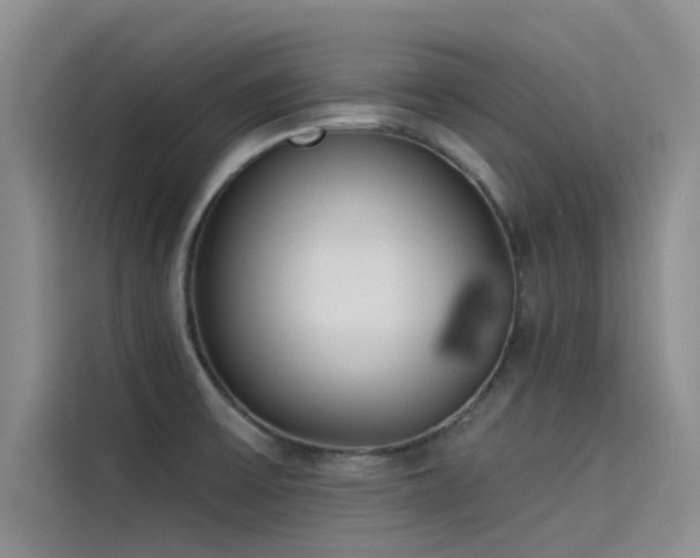 X0000115231475200911061117