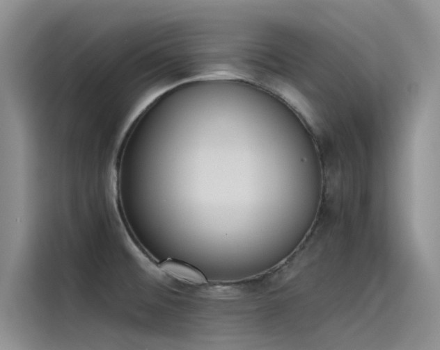 X0000115231476200911061117