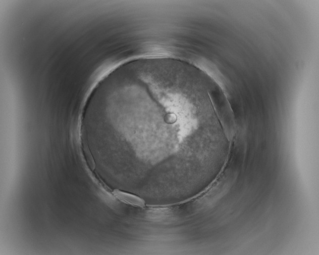 X0000115231477200911061117