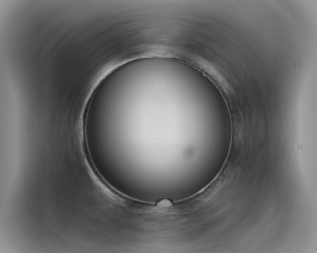 X0000115231479200911061117