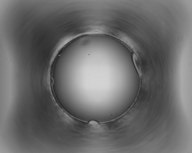 X0000115231480200911061117