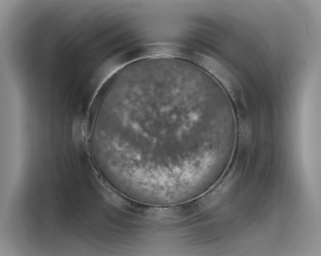 X0000115231481200911061117