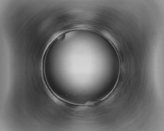 X0000115231482200911061117