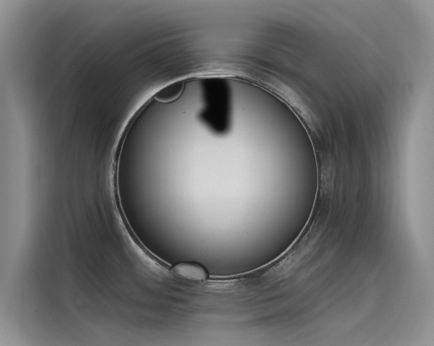 X0000115231484200911061117