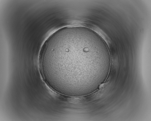 X0000115231485200911061117