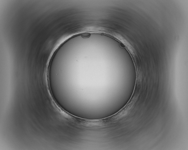 X0000115231486200911061117
